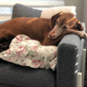 Meet your Posher, Deborah